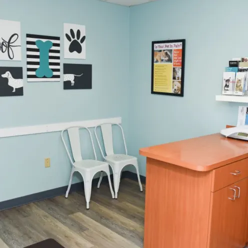 Examination room with counter and two chairs at Best Friends Animal Hospital.